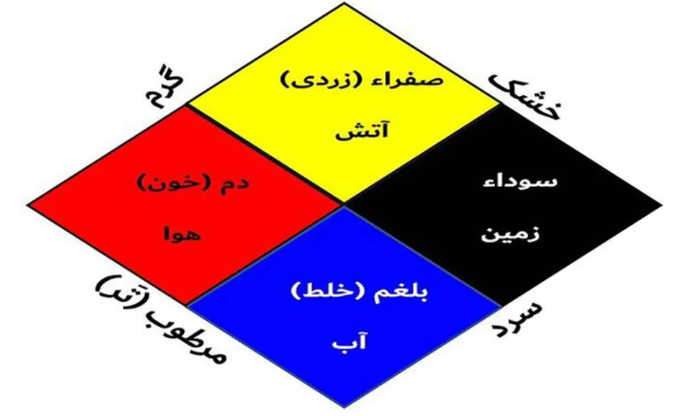 تشخیص بیماری از روی زبان در طب سنتی-میرصالحی