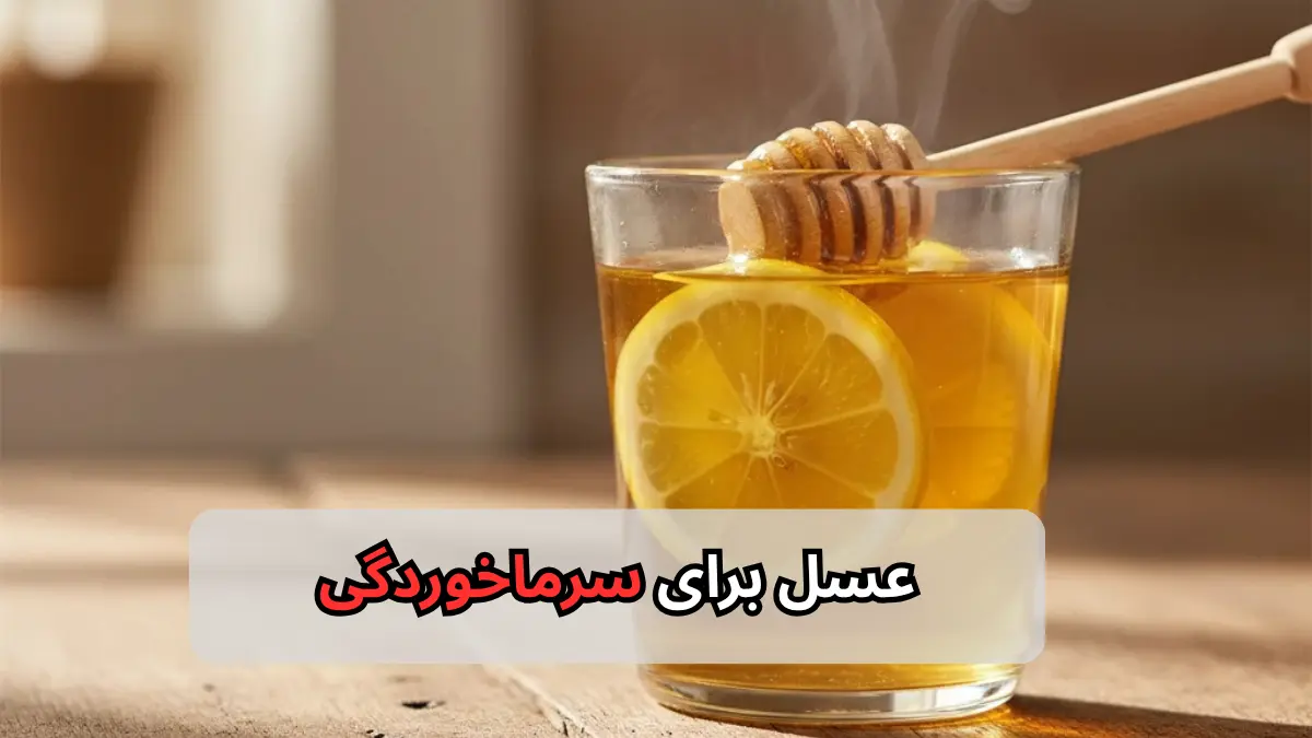 عسل برای سرماخوردگی-میرصالحی