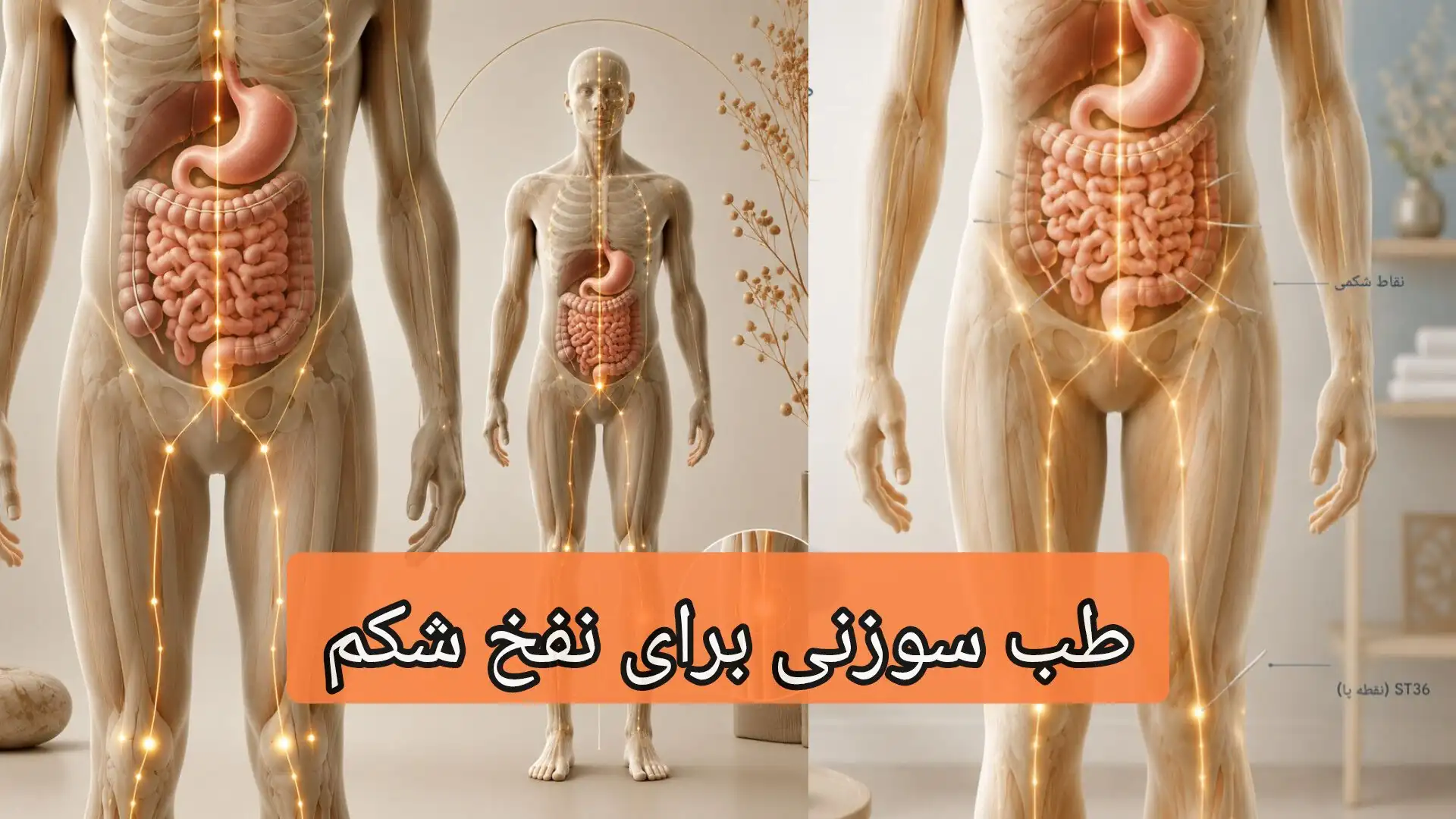 طب سوزنی برای نفخ شکم-میرصالحی