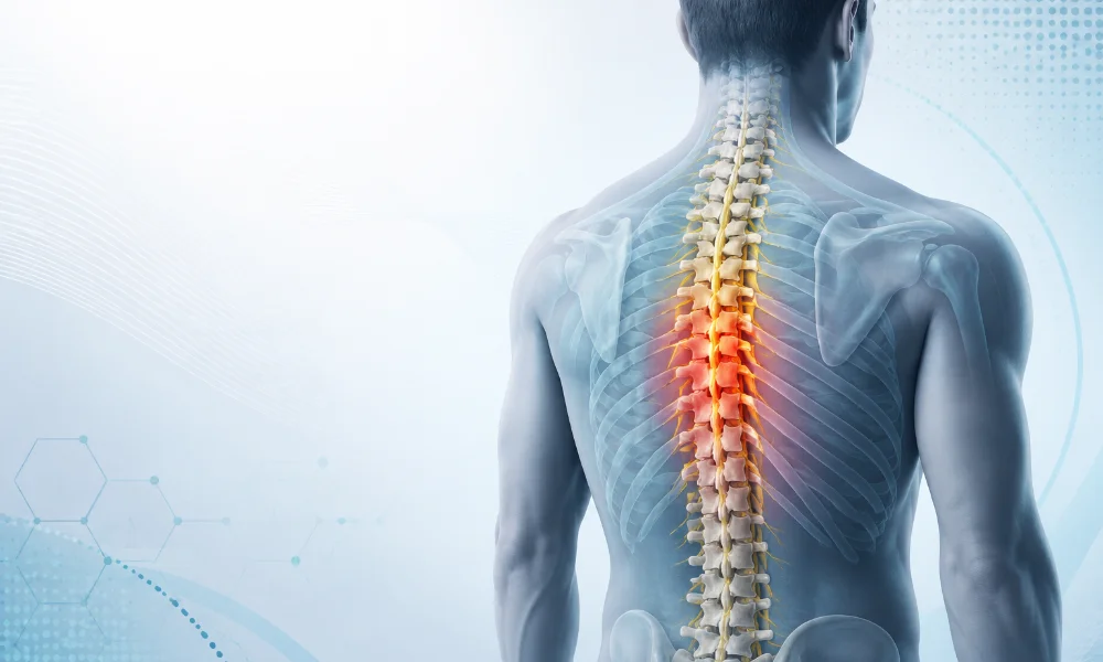 ضایعه نخاعی چیست؟-میرصالحی