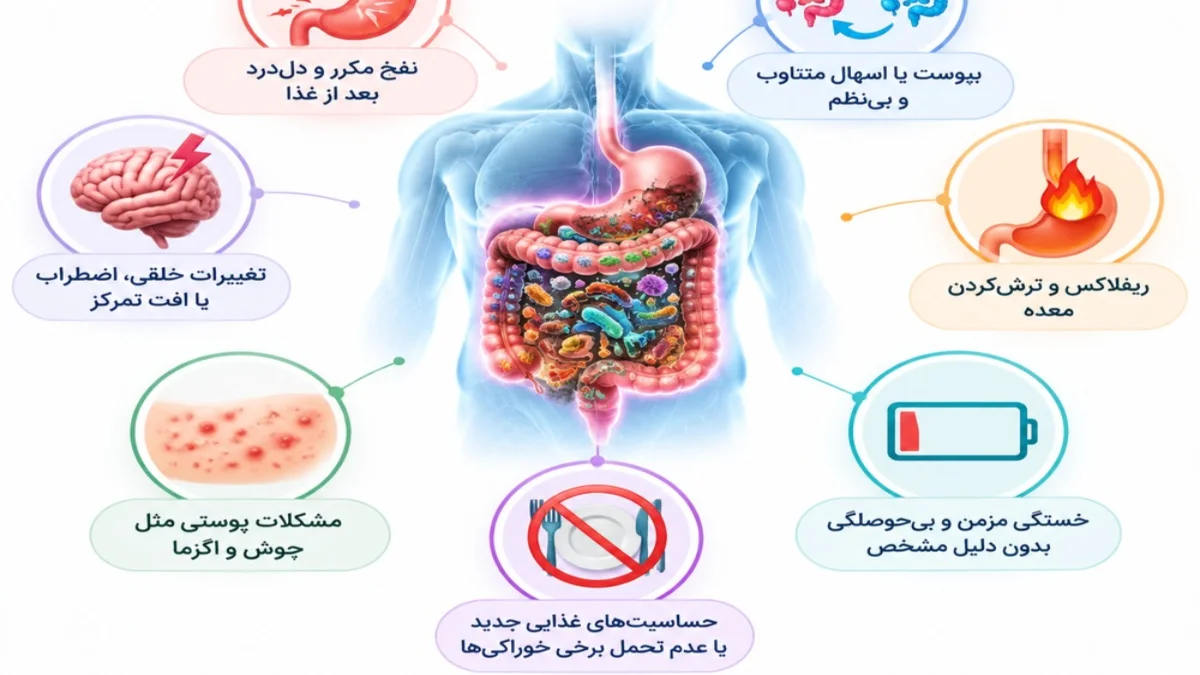 علائم میکروبیوم روده به‌ هم‌ خورده-میرصالحی