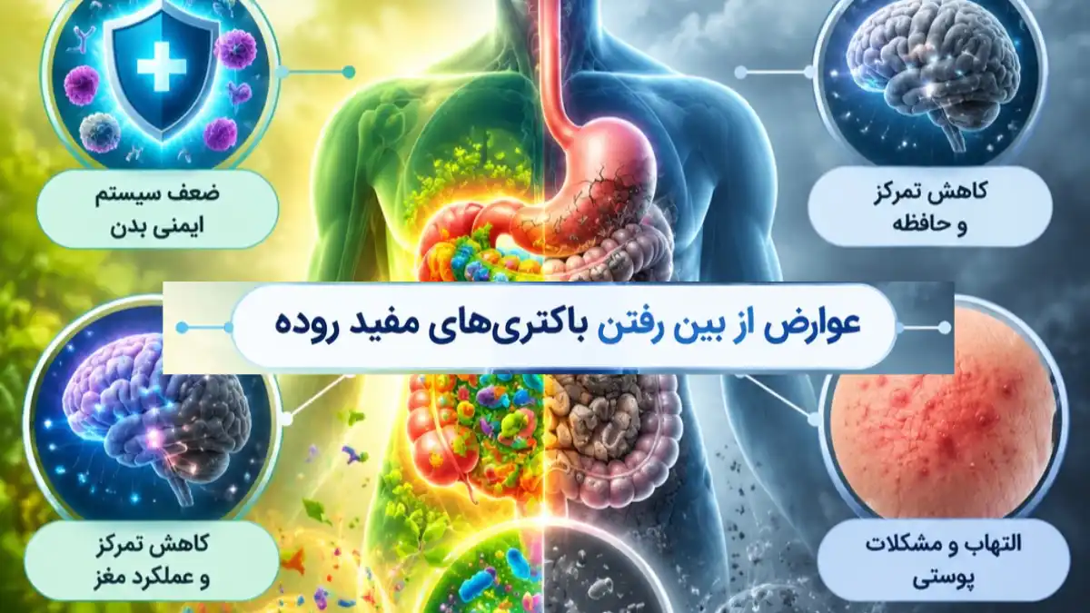 عوارض از بین رفتن باکتری‌ های مفید روده-میرصالحی