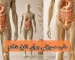 طب سوزنی برای نفخ شکم-میرصالحی